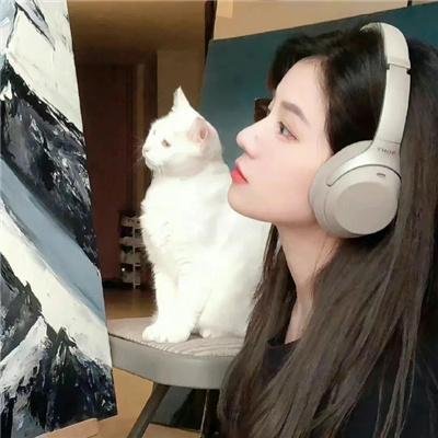 校园秘密档案