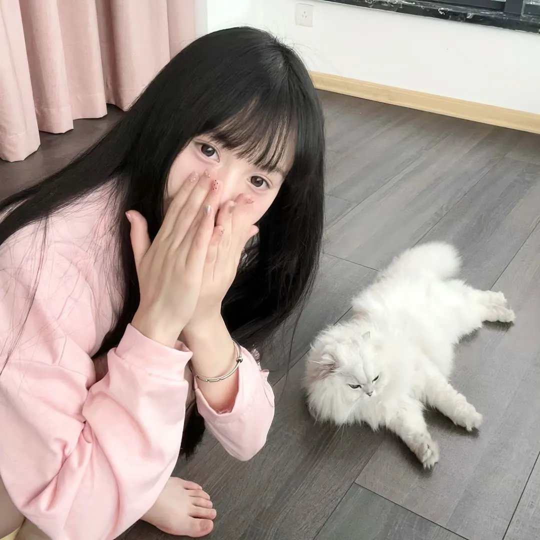鲜血的午后